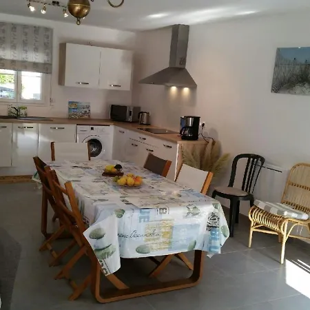 Maison Contemporaine 3 A 400m De La Avec Wifi - Saint-georges-d'oleron - Fr-1-246a-24